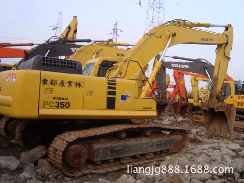 东部新区挖掘机出租市场分析与趋势洞察